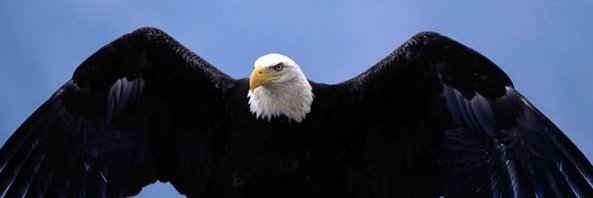 jacobword's profile banner image