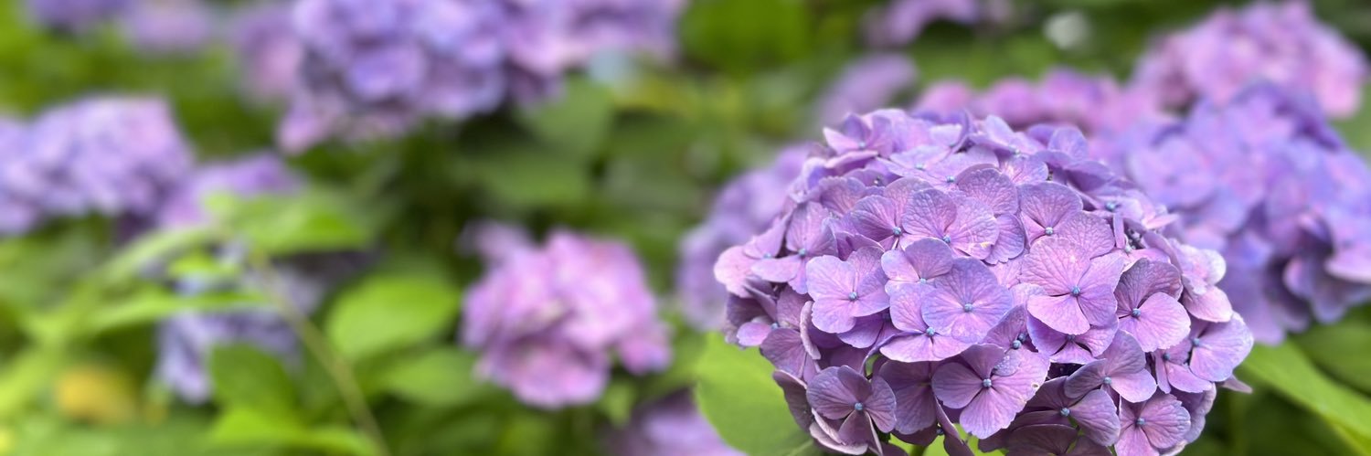 三ツ村崇志/Takashi Mitsumura🌏 banner