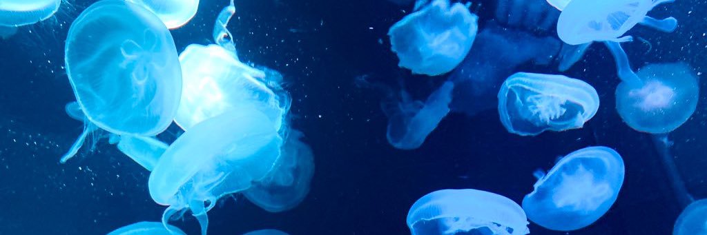matsurixn's profile banner image