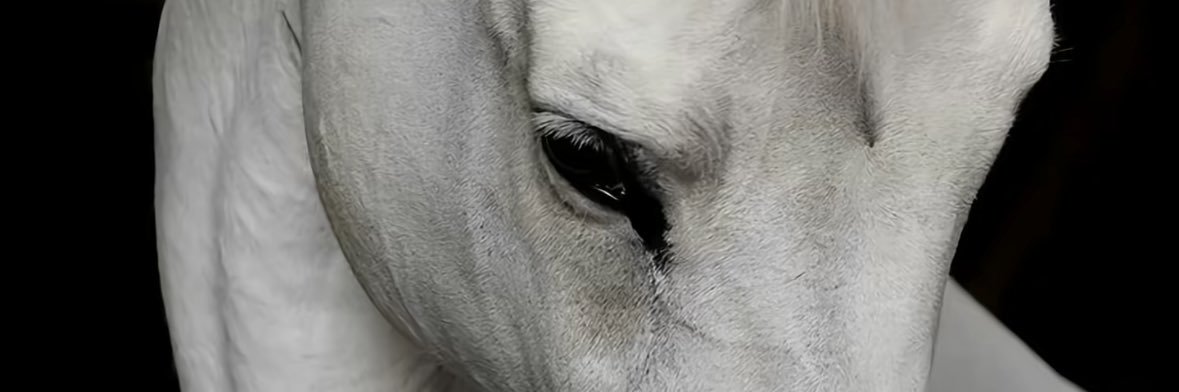 lam770306's profile banner image