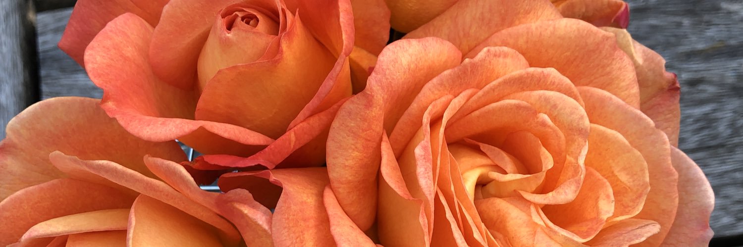 jocarr's profile banner image