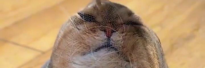 Pidottt's profile banner image