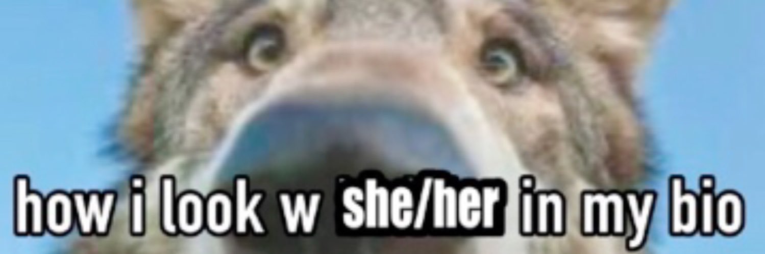 🗡️ † DYLAN THE DESTROYER † 🗡️ banner