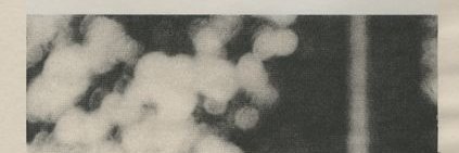 idi( •̀ ω •́ )✧ banner