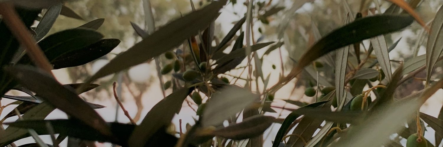 lachelcap's profile banner image