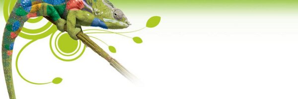 MarkAdvertising Profile Banner