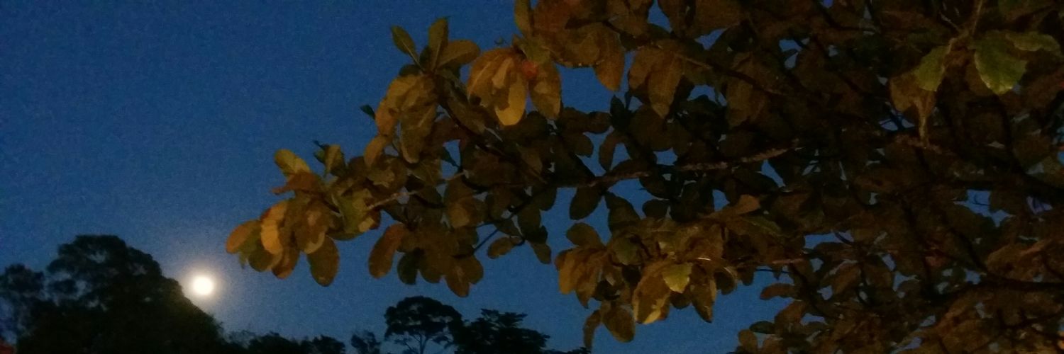 cleiaagiosole's profile banner image