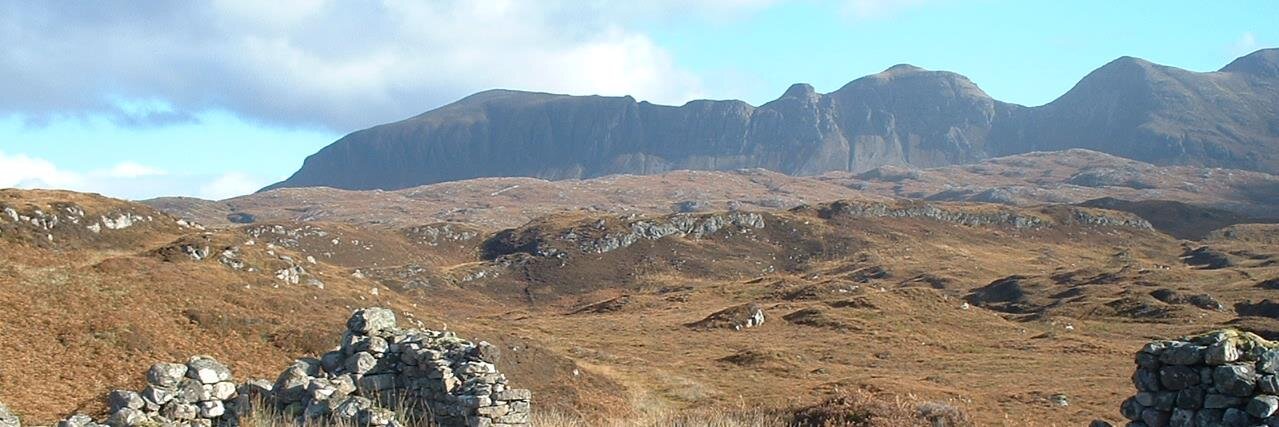Althea Davies banner