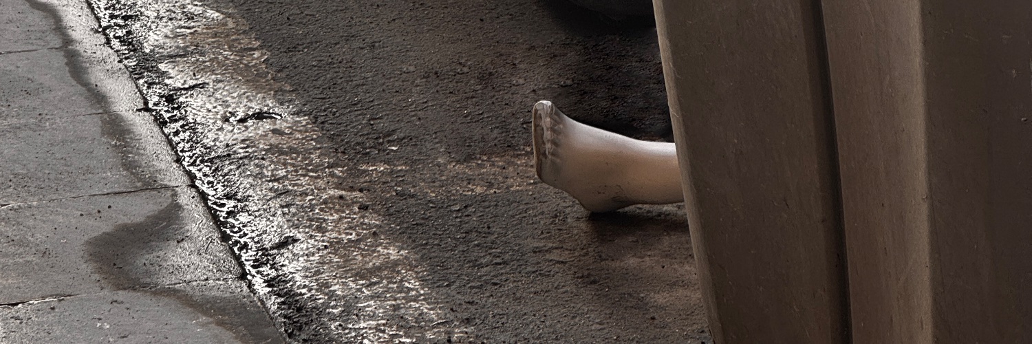 santiveiga_'s profile banner image