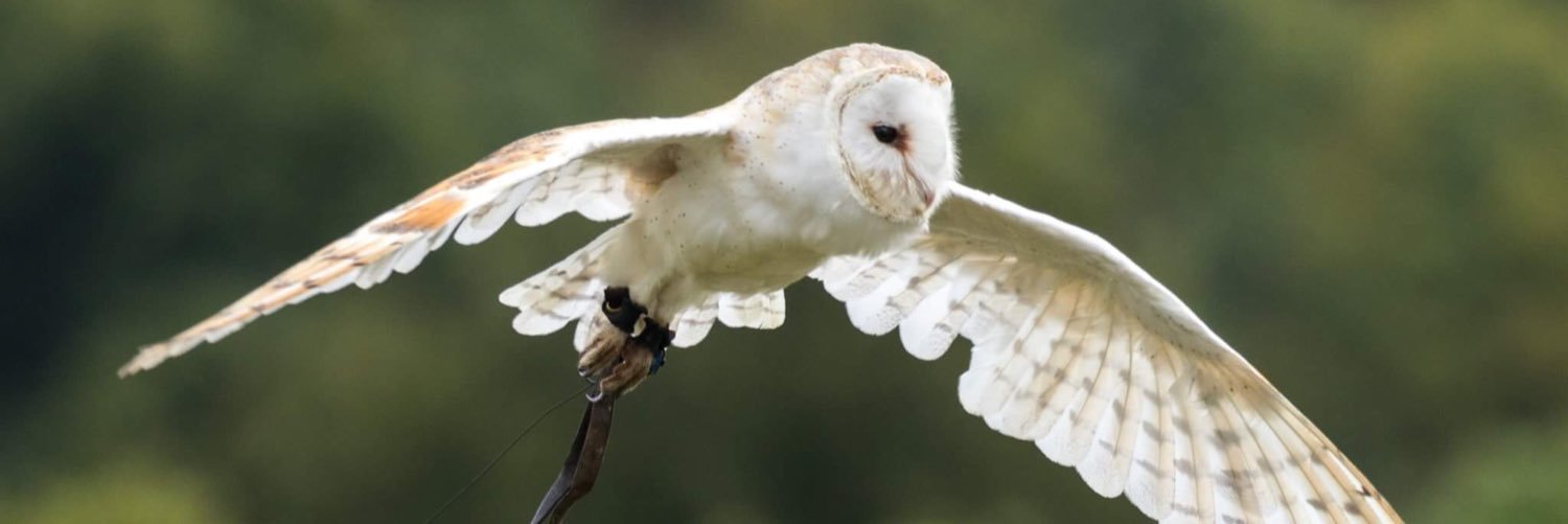 William Evenden banner