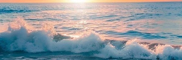 mi__40 Profile Banner