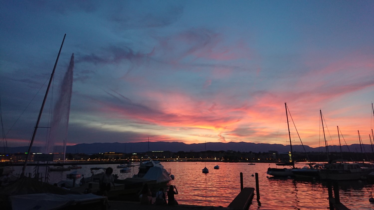 Dominique Rochat banner