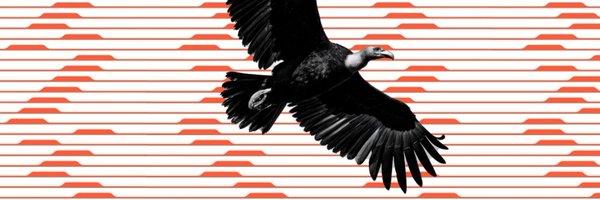 patagon Profile Banner