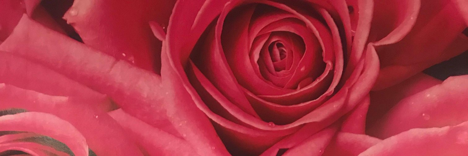 KoalasBeauty's profile banner image