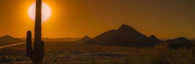 AStankel1's profile banner image