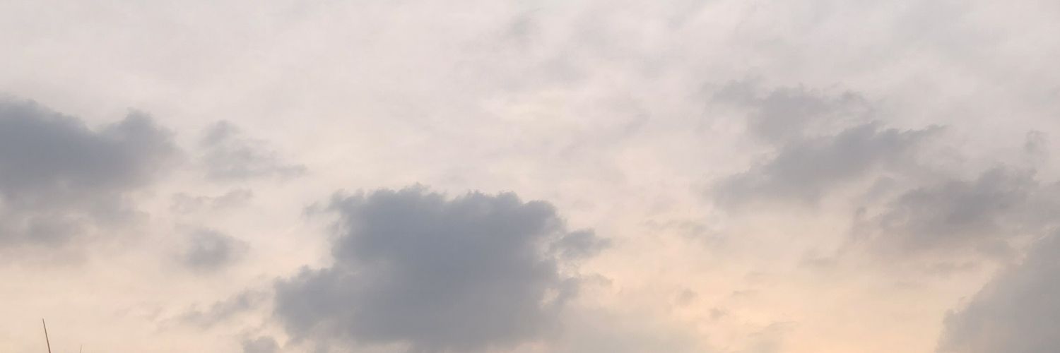 SaraNajla's profile banner image