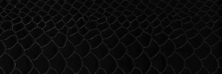 dela banner