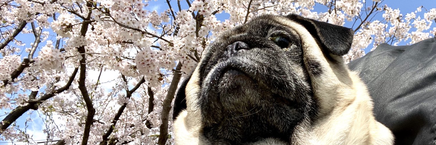 よしだろん banner
