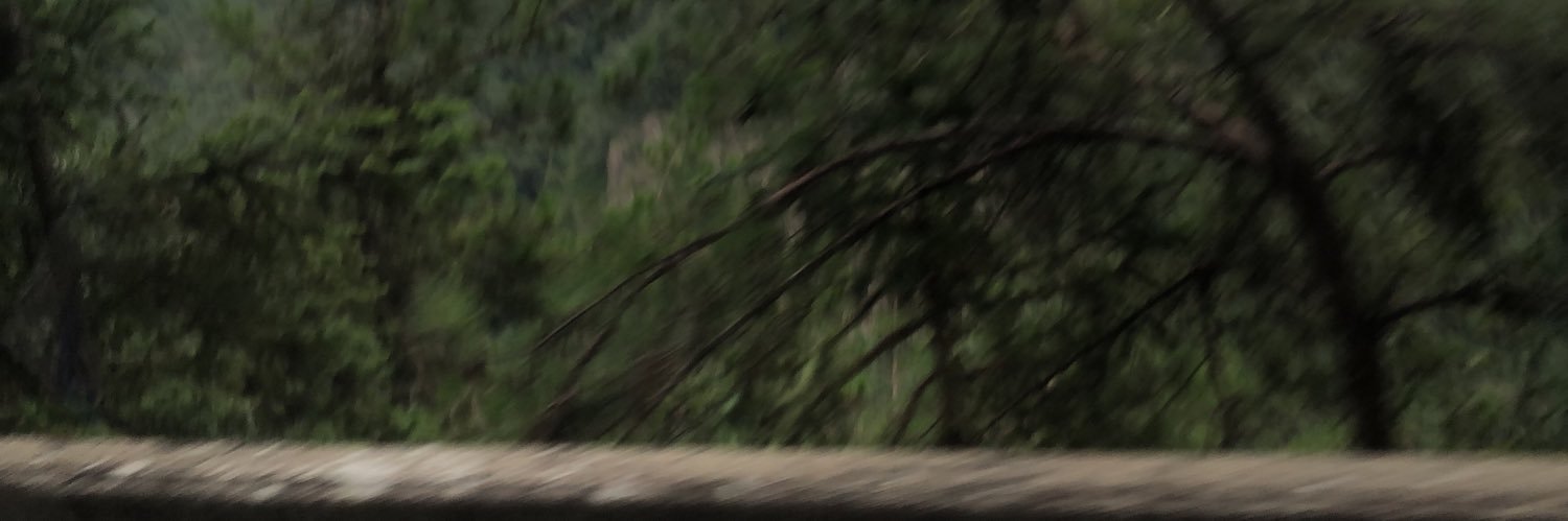 82937183_'s profile banner image