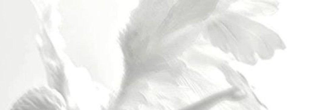 arien396902's profile banner image