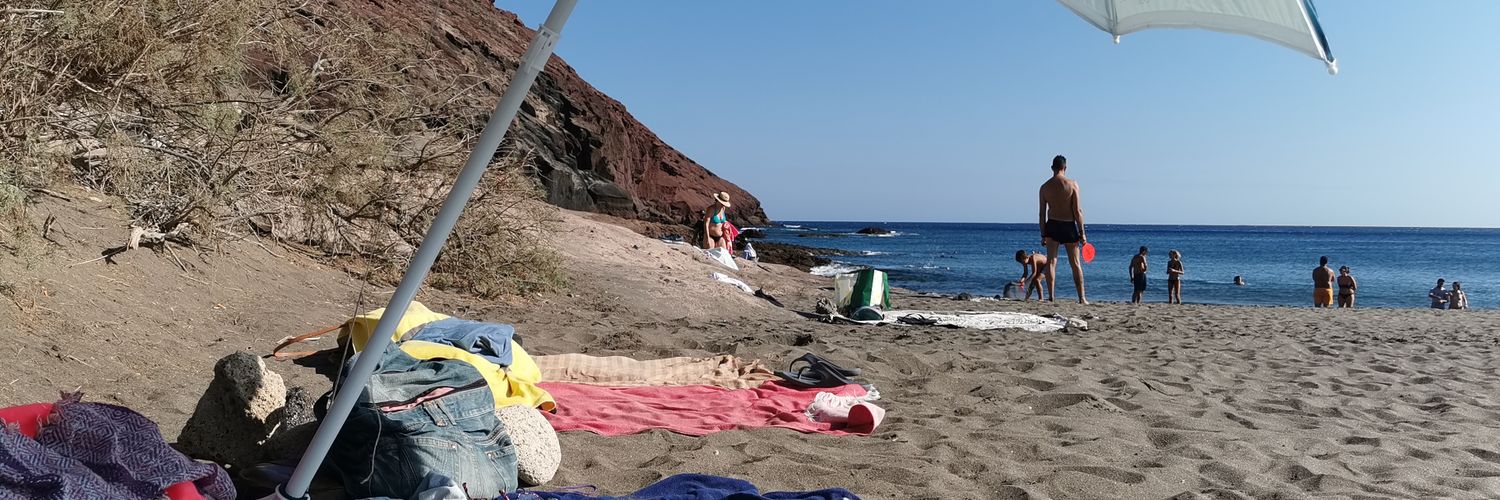 francesco bronz banner