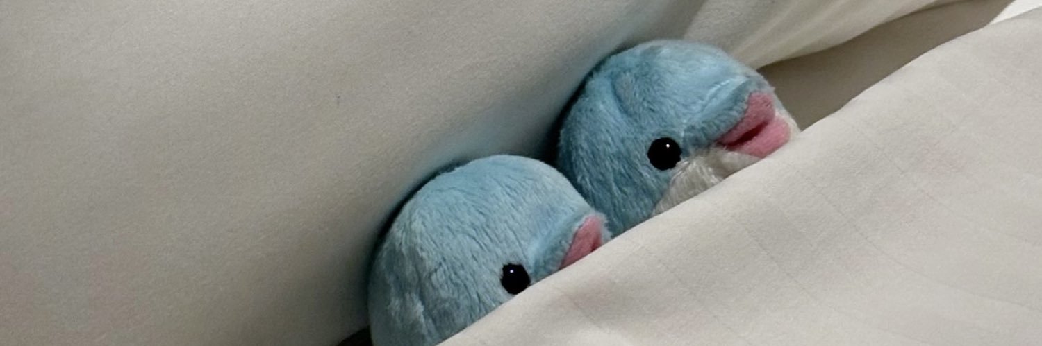 puri_dolphin's profile banner image