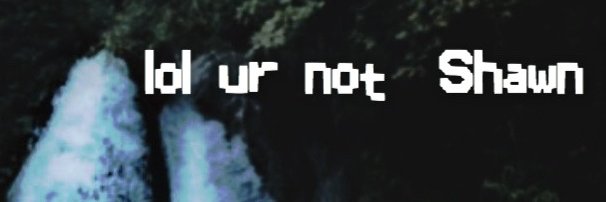 mendesloea's profile banner image