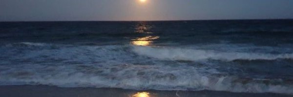 euphoriacas Profile Banner