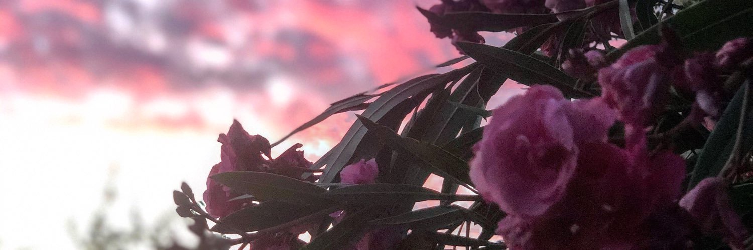 Phoebe Bennett banner