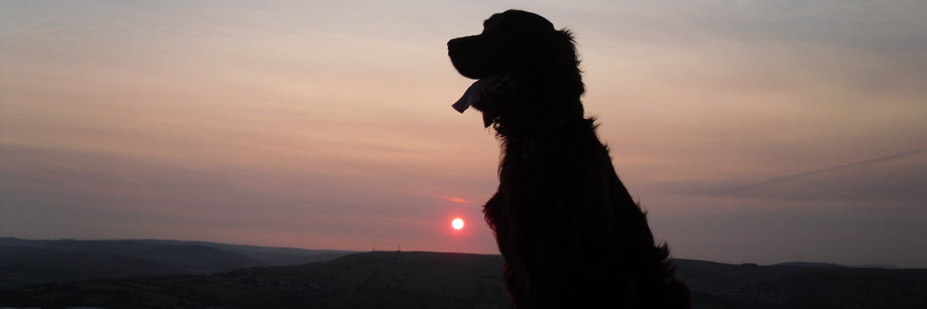 TimJCrowe's profile banner image