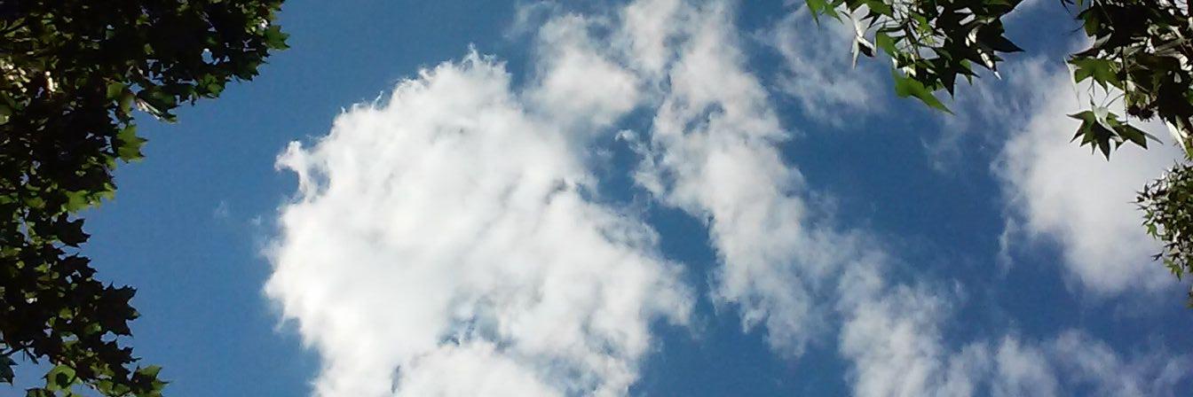 areggie's profile banner image
