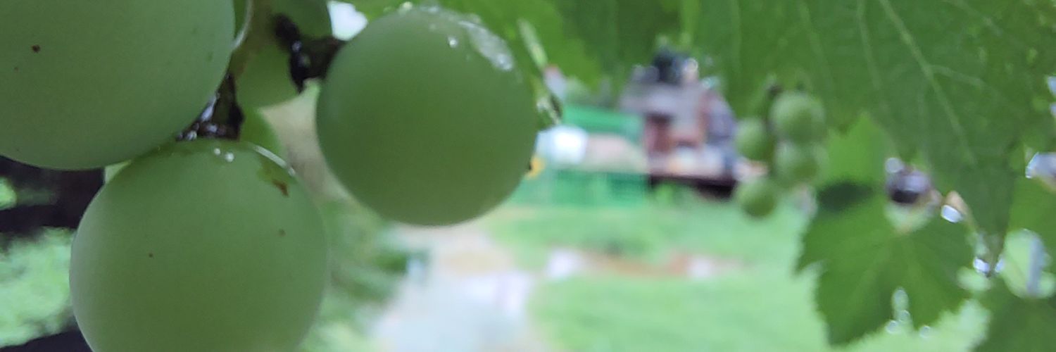 miae9811's profile banner image