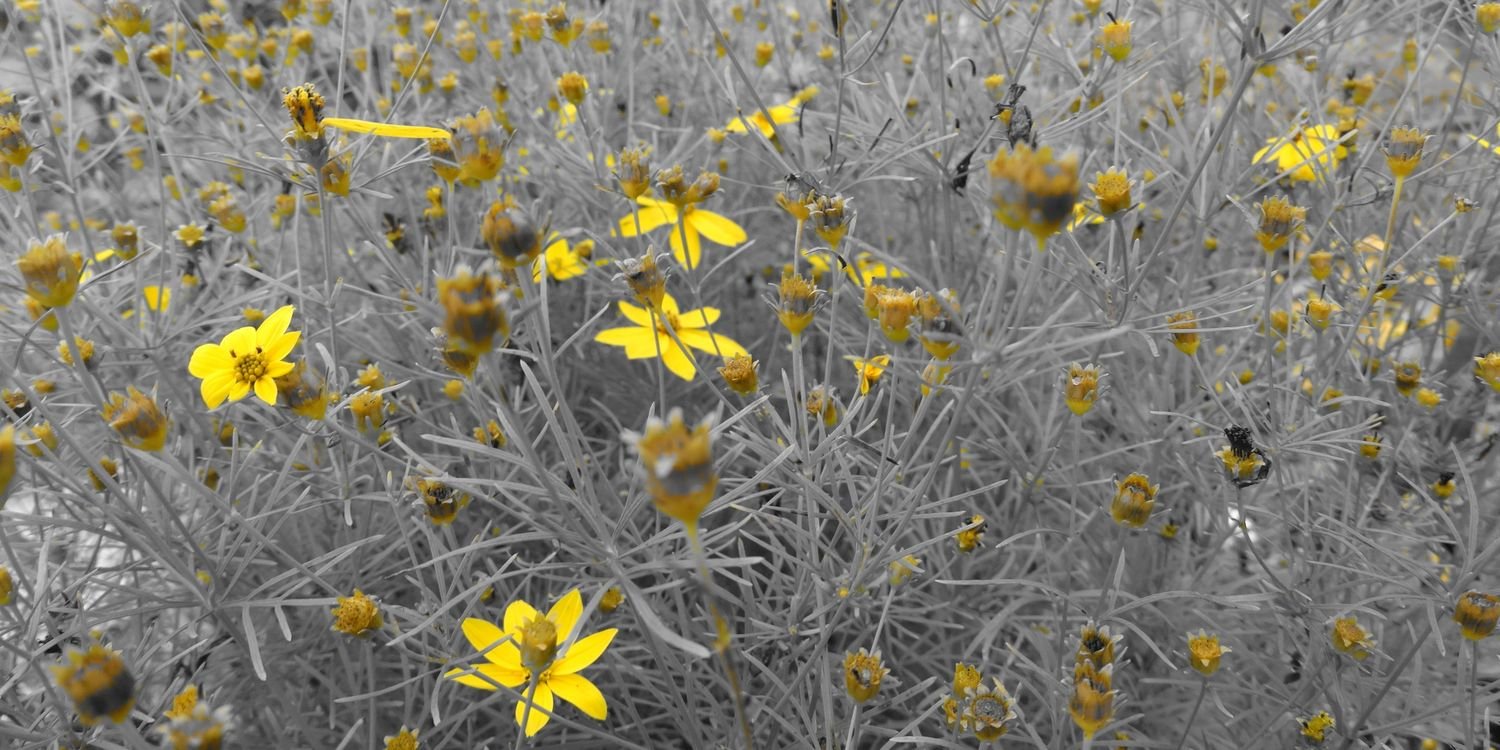 Misiaaa_1's profile banner image