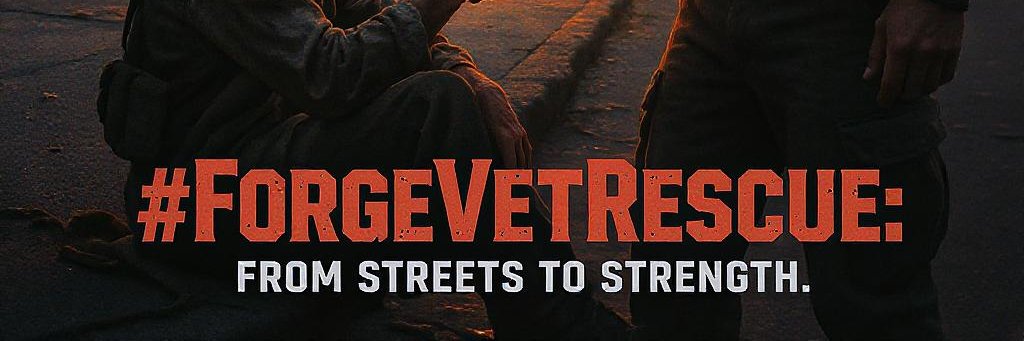 VetVibe's profile banner image