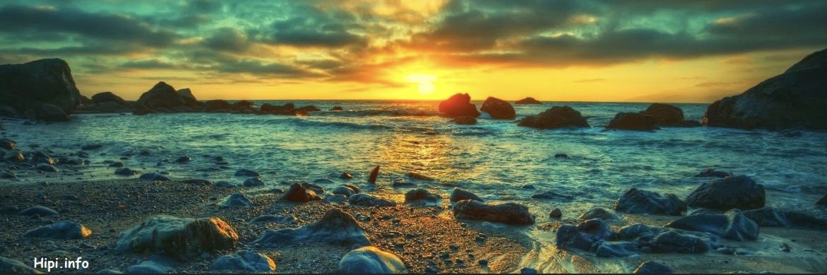 _amberrose_x's profile banner image