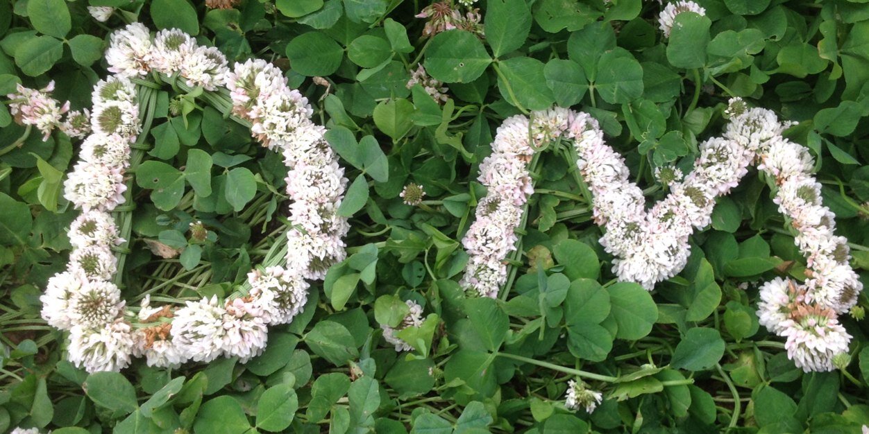ictigogarden's profile banner image