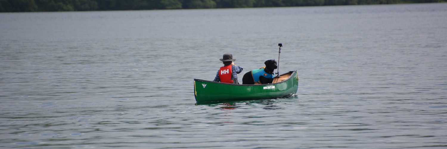 Fenja V Ziegler banner