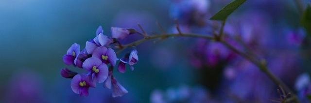 1406_kbr's profile banner image
