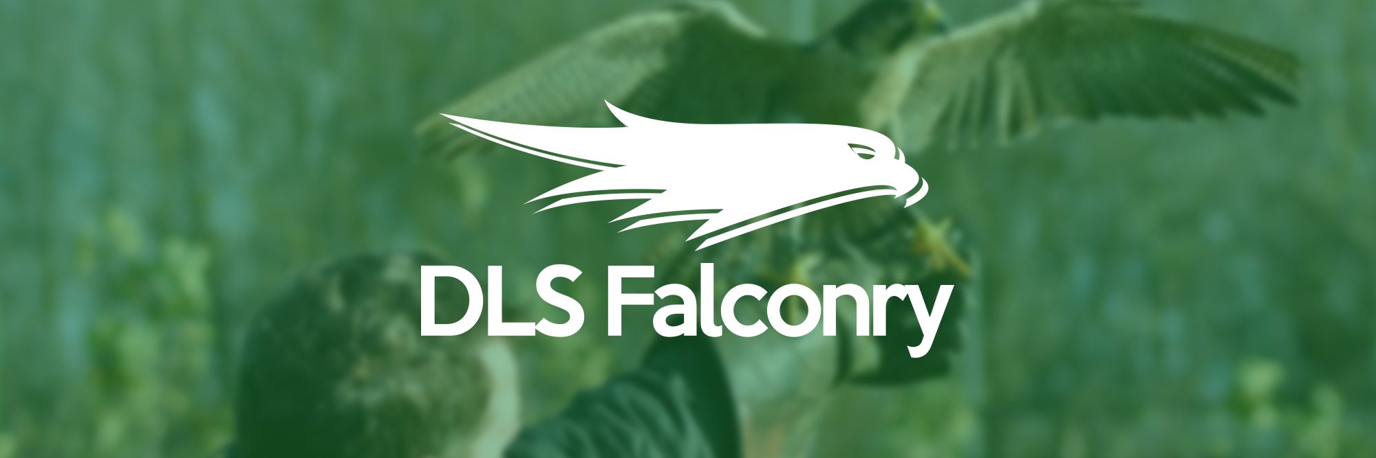 DLSFALCONRY's profile banner image