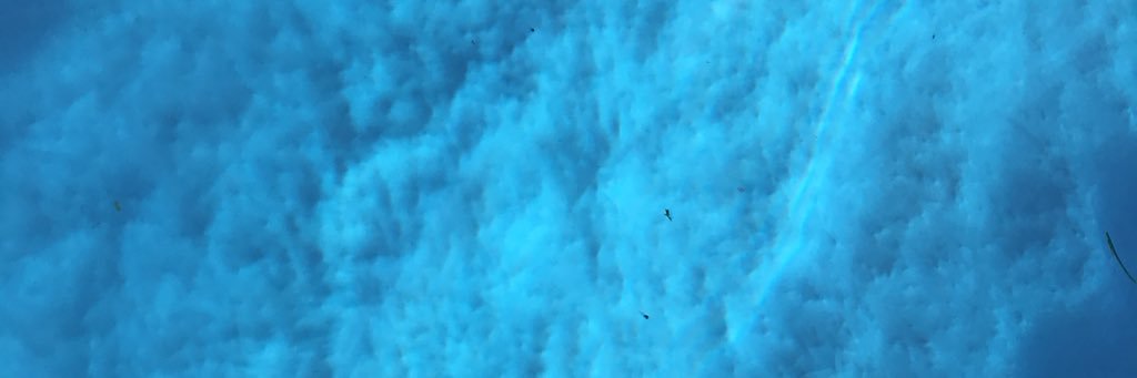 publicrelationz's profile banner image