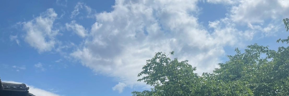 𖦹‎‎‎ banner