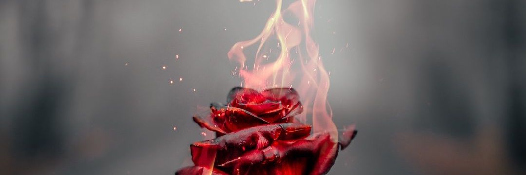 bluelock89's profile banner image