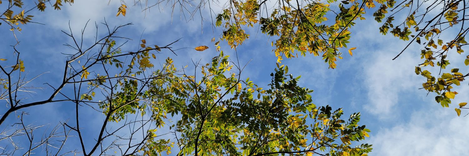 p333669's profile banner image
