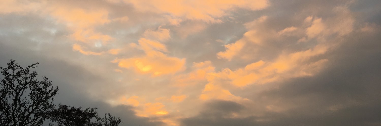 Miranda Thompson banner