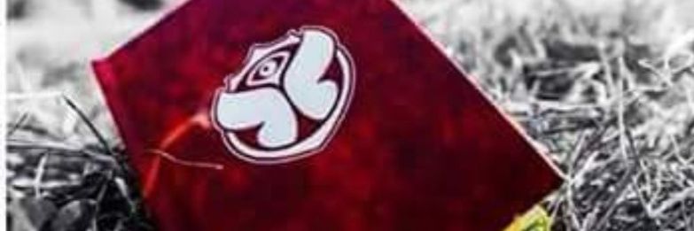 camilinin's profile banner image