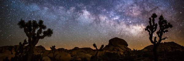 LinzerAtNight Profile Banner
