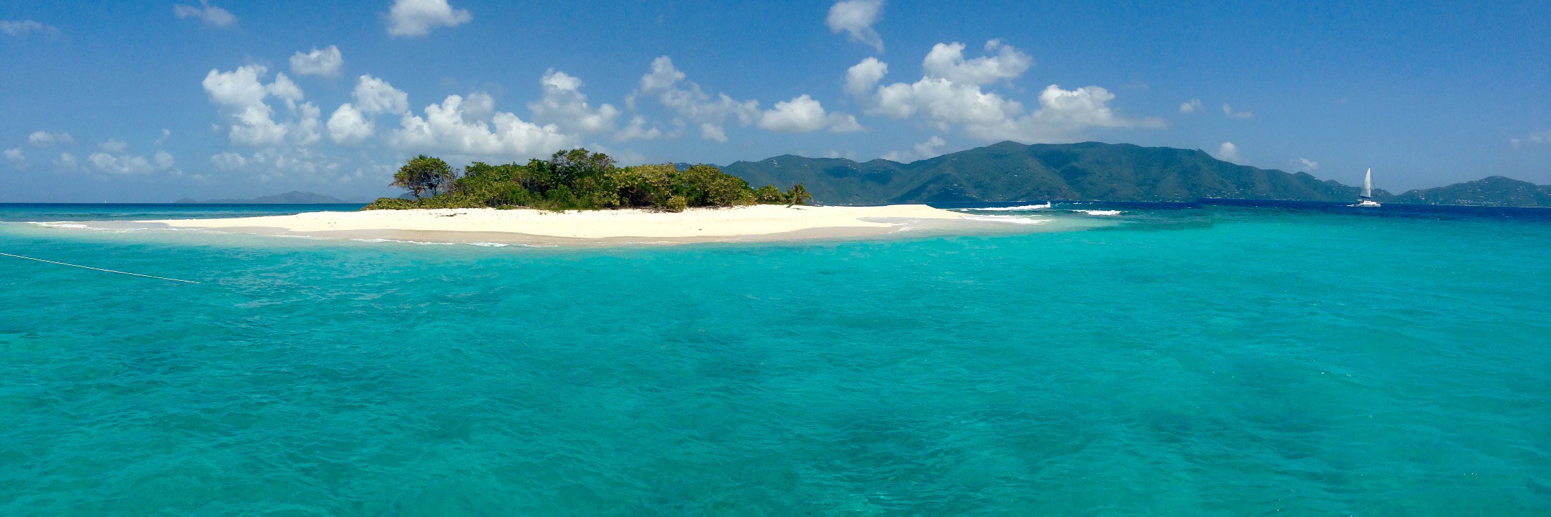 PalmTreeCharter's profile banner image