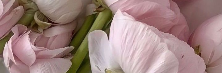 elilieest's profile banner image