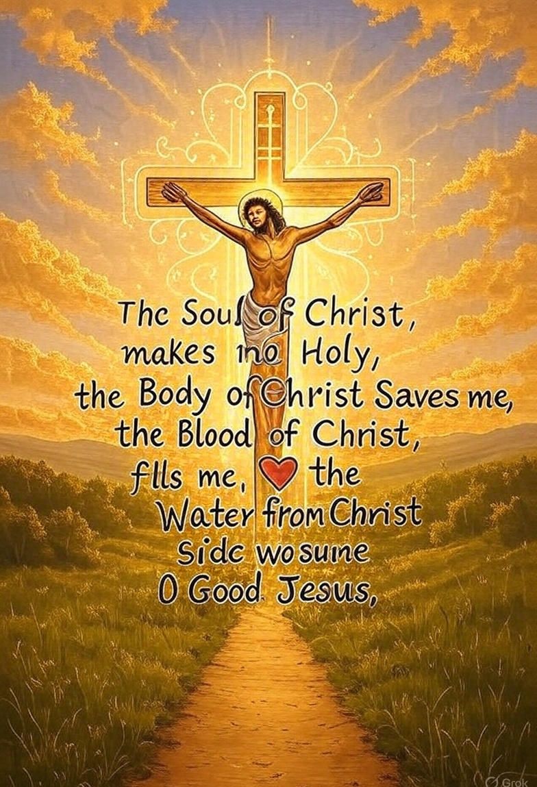 Seb die Meerkat😇🙏✝️🇻🇦 banner