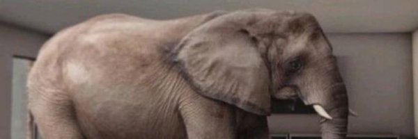 UnaddressedRoom Profile Banner